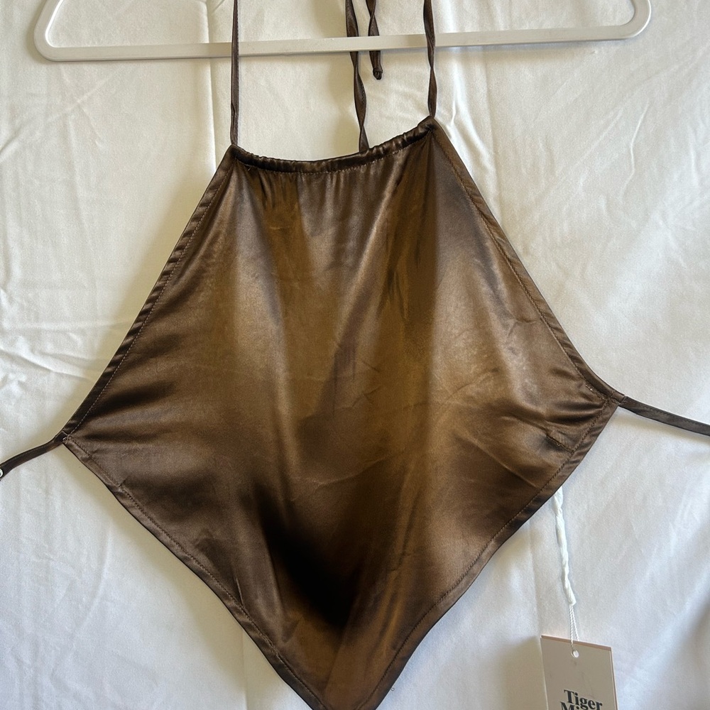 Tiger Mist Brown Satin Top